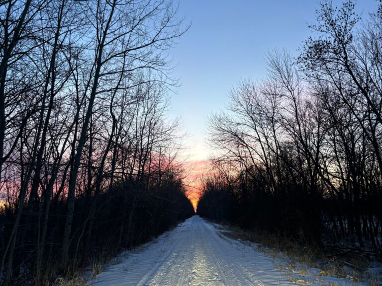 Cross Country Skiing on the North Shore, MN: Here Are the Best Places To Go