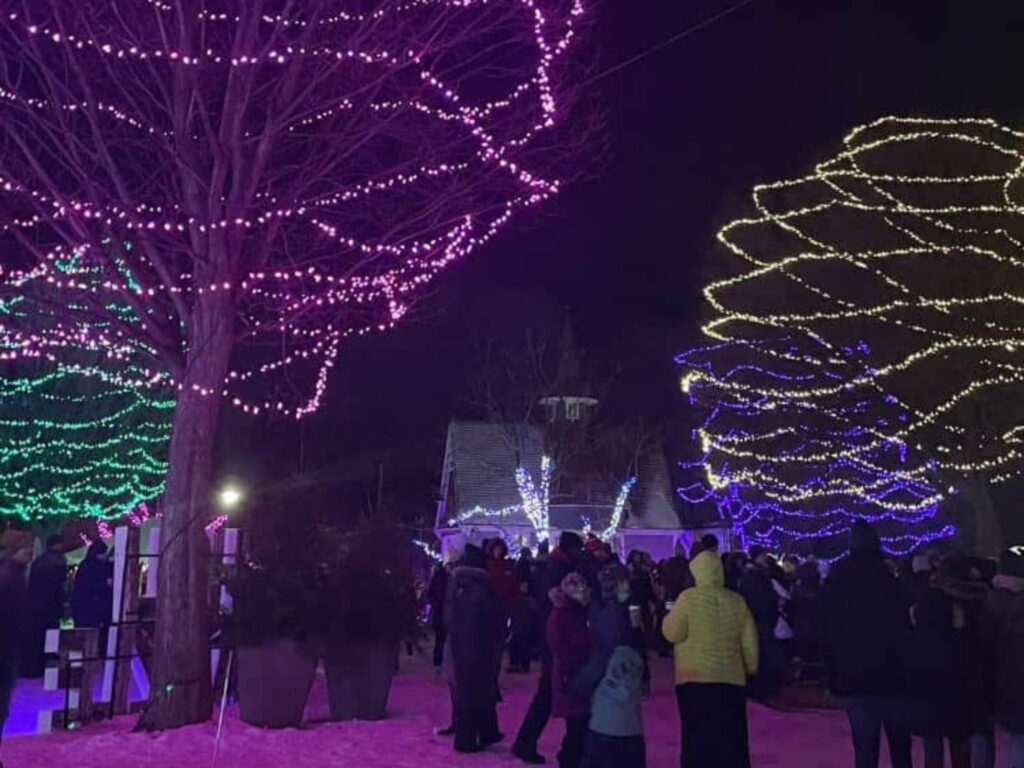 Holiday lights strung on trees with people walking below them at an activity in Duluth in winter.